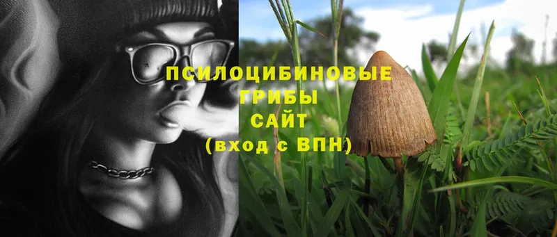 Галлюциногенные грибы Cubensis  дарк нет официальный сайт  hydra   Вилюйск  купить  